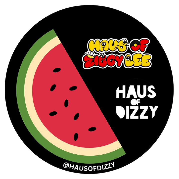 Haus of Dizzy 'WE ARE THE FUTURE' Assorted Vinyl Stickers